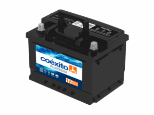 COEXITO 42IST750X
